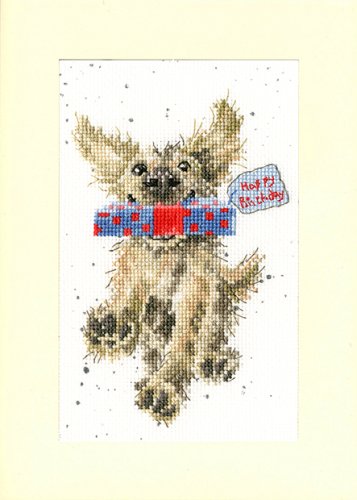 (image for) Greeting Card – Special Delivery